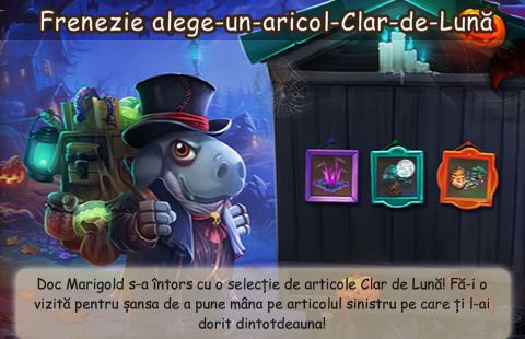 0.png