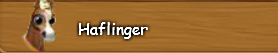 1. Haflinger.png