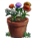 1857.png
