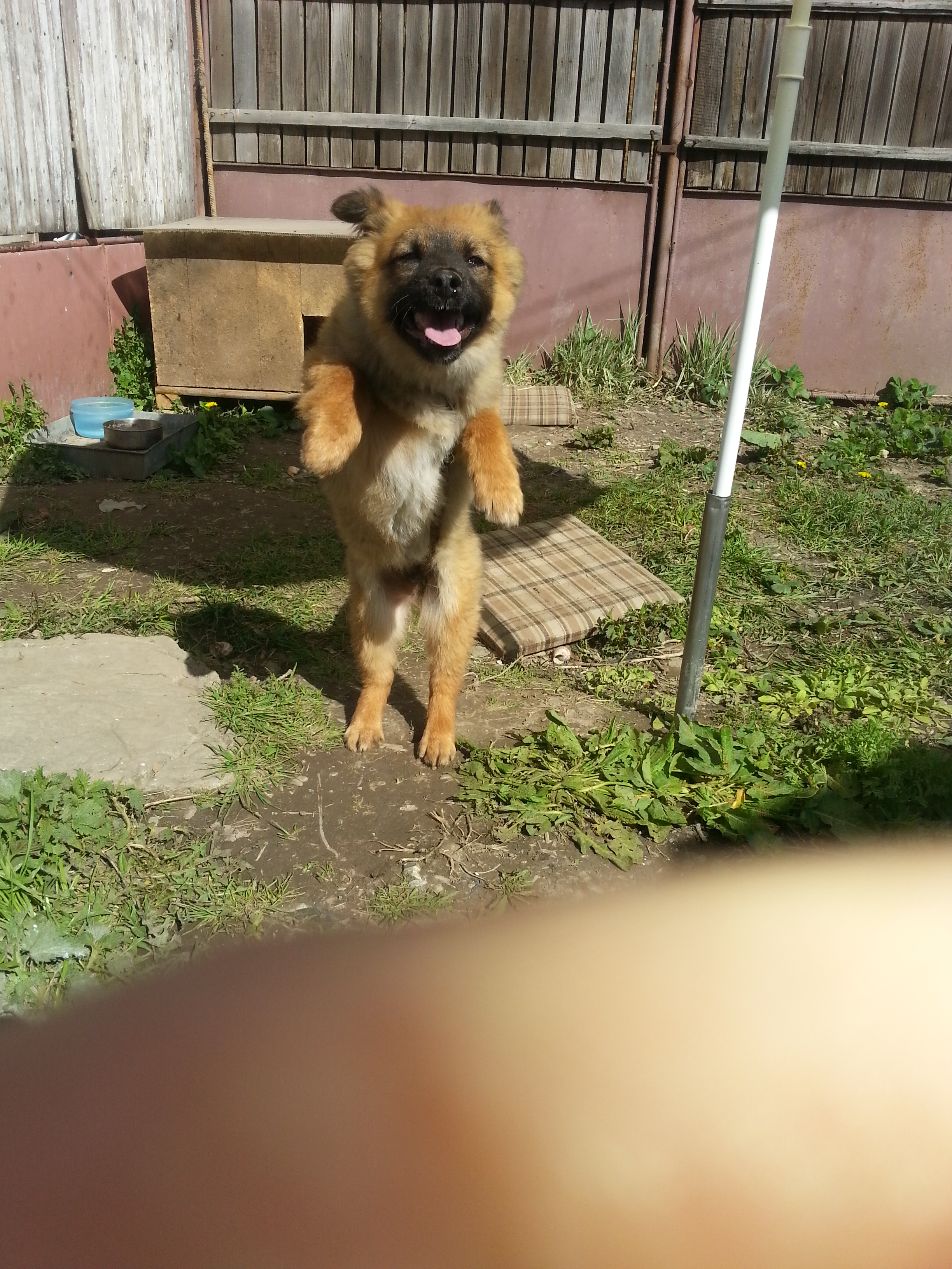 20150412_105012.jpg