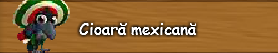3. Cioara mexicana.png