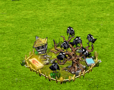 Adapost de ciori galben.gif