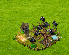Adapost de ciori.gif