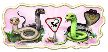 anaconda.png