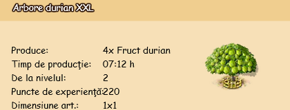 Arbore-durian-XXL.png