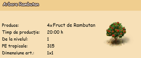 Arbore Rambutan.png