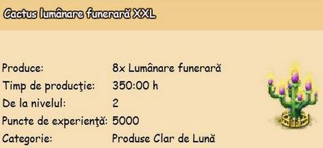 Cactus-lumanre-funerara-XXL.png