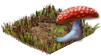 Ciuperca piciorului mica.png