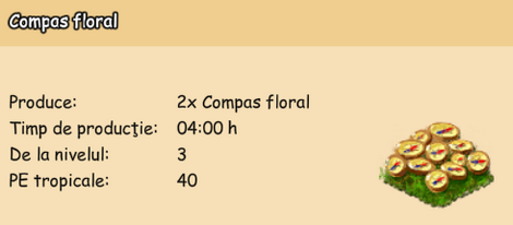 Compas floral - planta.png