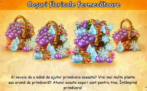Cosuri-floricole-fermecatoare.png