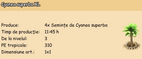 Cyanea superba XL.jpg