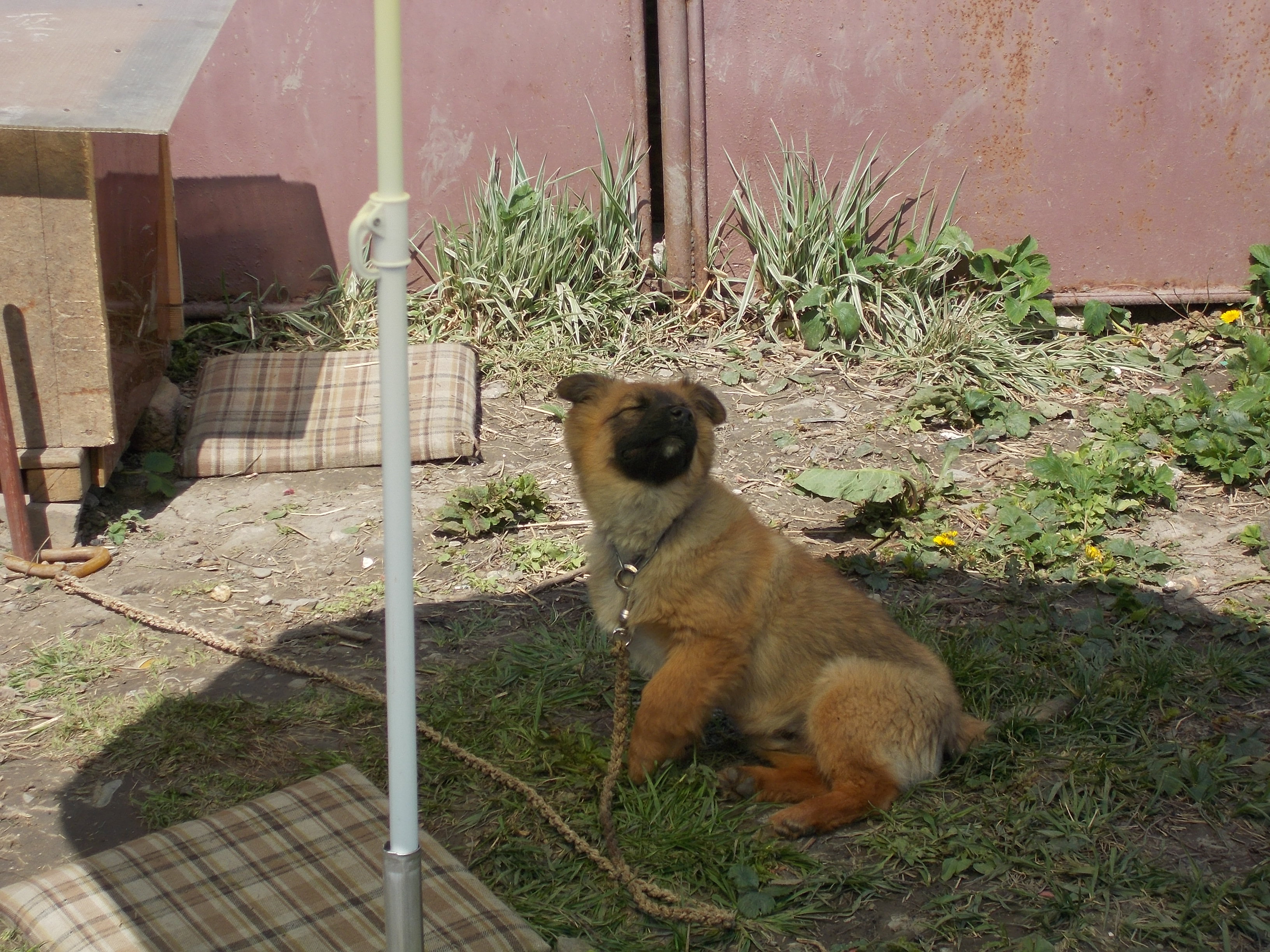DSCN0778.JPG