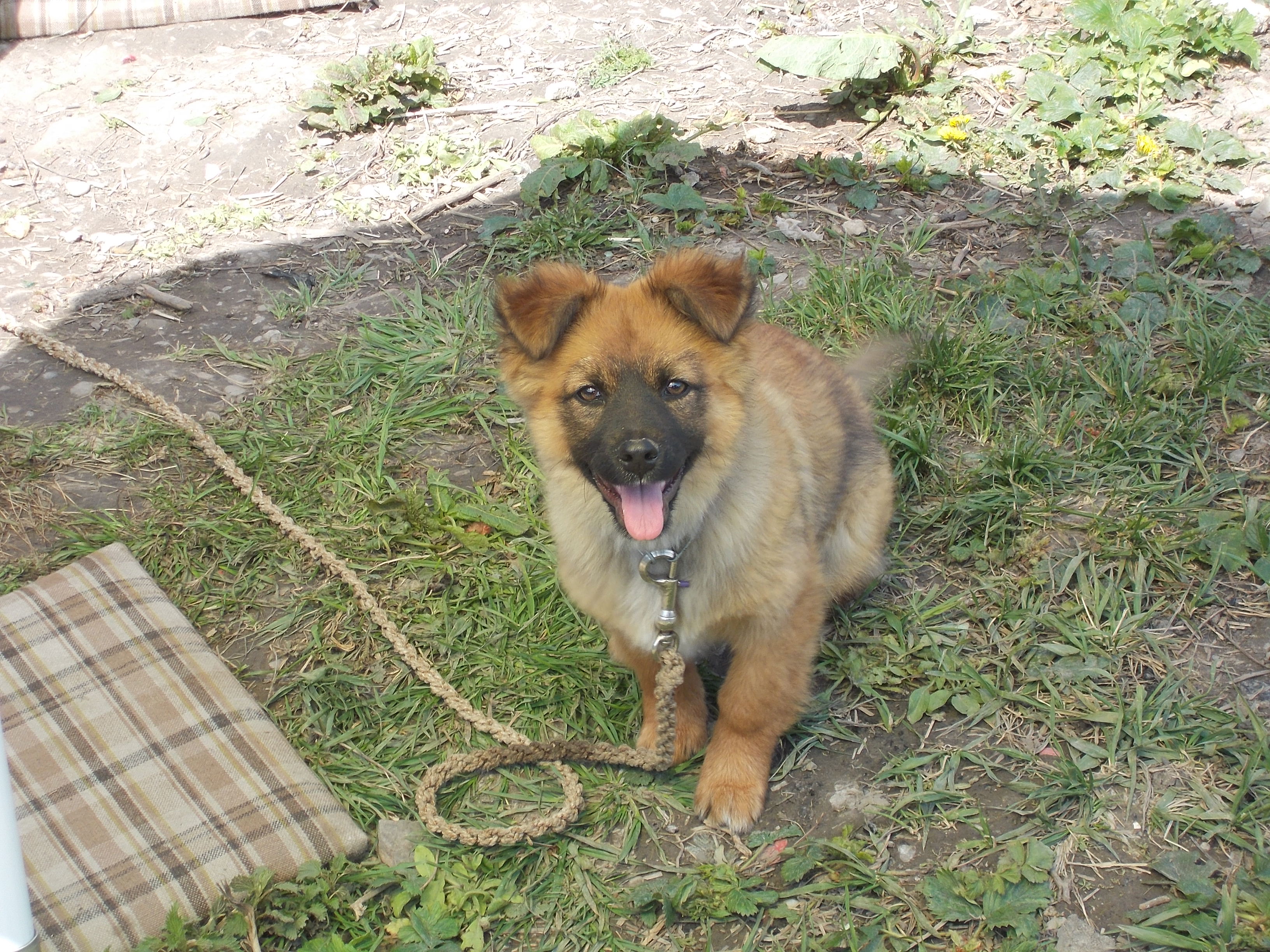 DSCN0779.JPG
