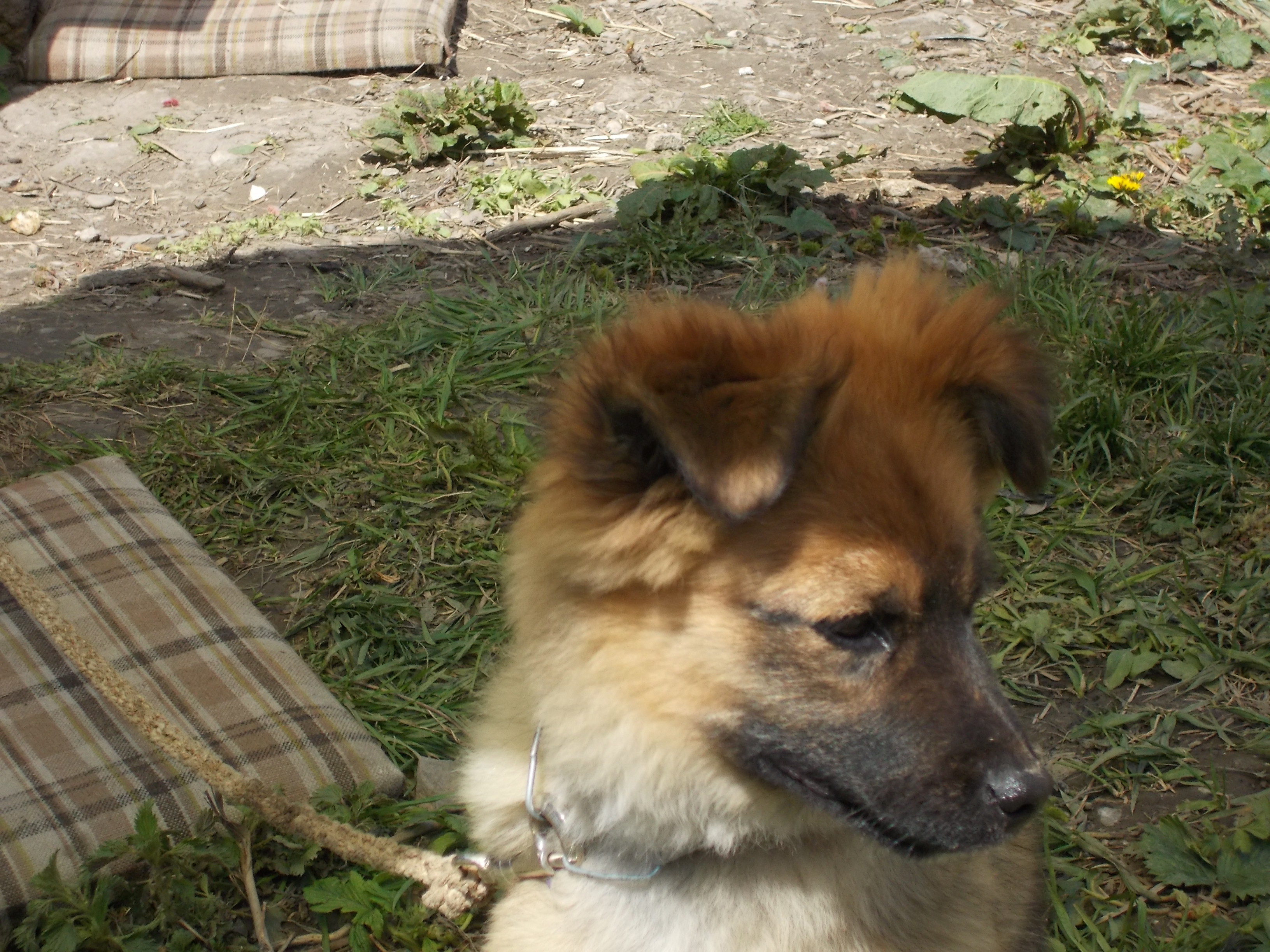 DSCN0780.JPG