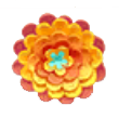 Floare colorata Enigma 3.png