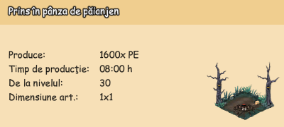 I1.png