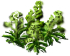 Iarba albastra 2.png