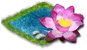 Lotus.png