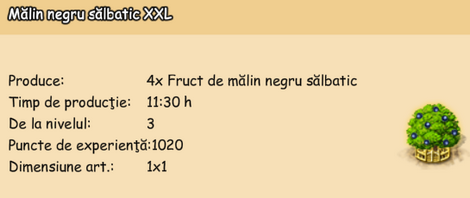 Malin negru salbatic XXL.png