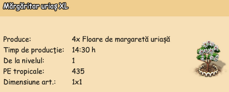 Margaritar urias XL.png