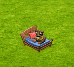 Marmota Radu.gif