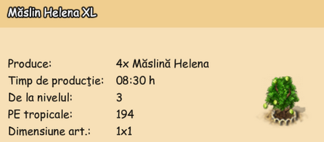 Maslin Helena XL.png