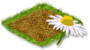 Musetel.png