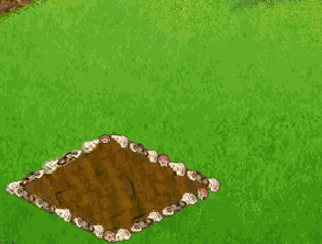 Poza 1.gif