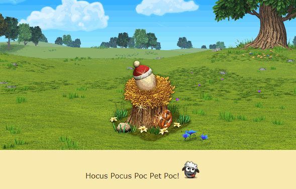 poza.gif