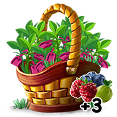 q1basket2.png