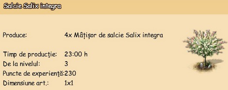 Salcie-Salix-integra.png