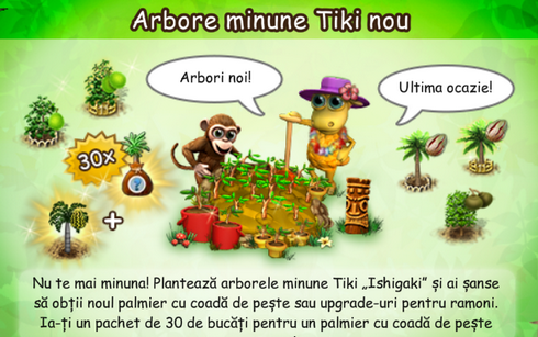 Titlu arbore minune Tiki Ishigaki.png