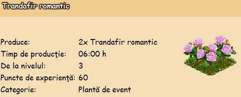 Trandafir-romantic.png