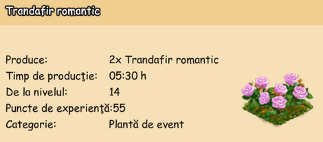 Trandafir romantic.png