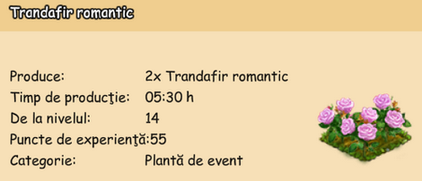 Trandafir romantic.png