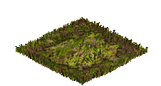 Varza cerebrala mare.gif