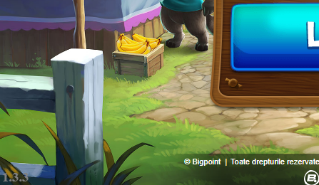 versiune.PNG
